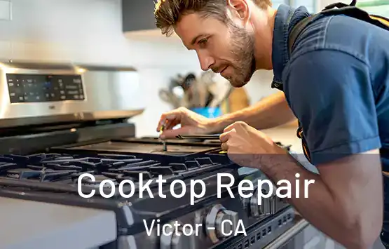  Cooktop Repair Victor - CA