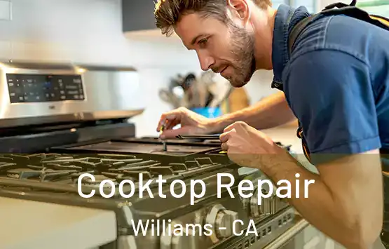  Cooktop Repair Williams - CA