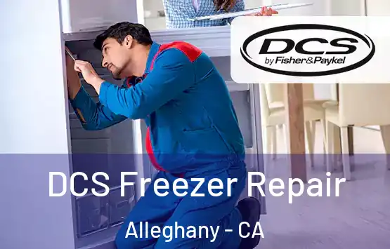  DCS Freezer Repair Alleghany - CA