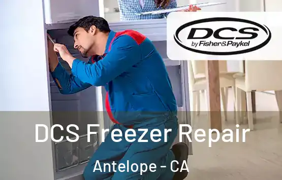  DCS Freezer Repair Antelope - CA