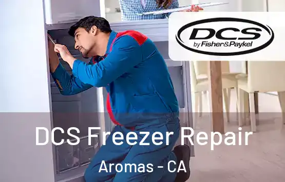  DCS Freezer Repair Aromas - CA