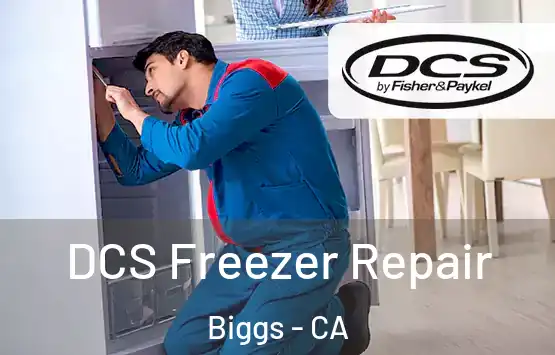  DCS Freezer Repair Biggs - CA