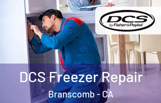  DCS Freezer Repair Branscomb - CA
