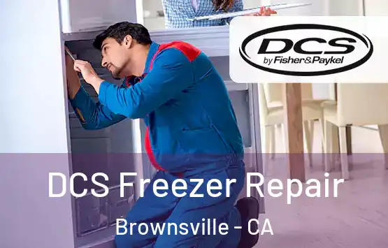  DCS Freezer Repair Brownsville - CA