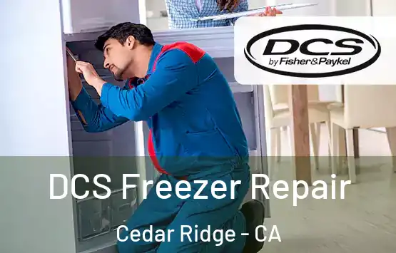  DCS Freezer Repair Cedar Ridge - CA