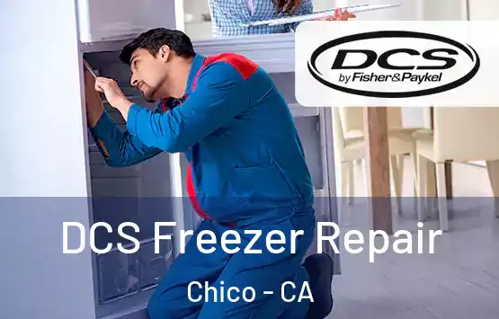  DCS Freezer Repair Chico - CA