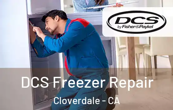  DCS Freezer Repair Cloverdale - CA