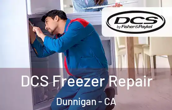  DCS Freezer Repair Dunnigan - CA
