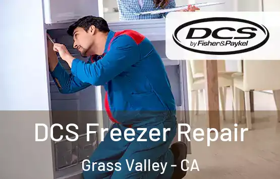  DCS Freezer Repair Grass Valley - CA