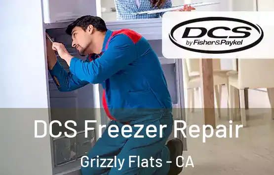  DCS Freezer Repair Grizzly Flats - CA