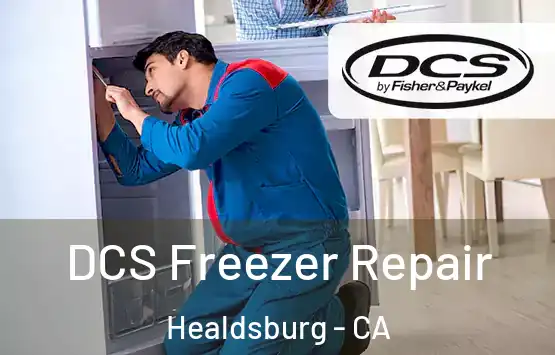  DCS Freezer Repair Healdsburg - CA
