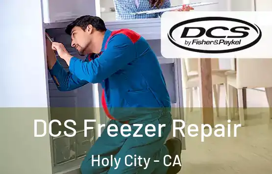 DCS Freezer Repair Holy City - CA