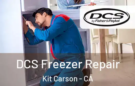 DCS Freezer Repair Kit Carson - CA
