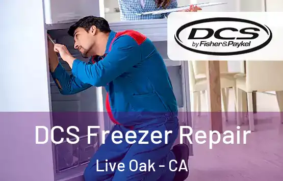  DCS Freezer Repair Live Oak - CA