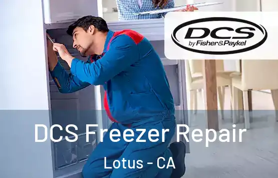  DCS Freezer Repair Lotus - CA