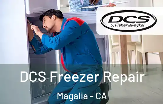  DCS Freezer Repair Magalia - CA