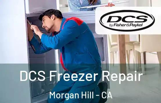  DCS Freezer Repair Morgan Hill - CA