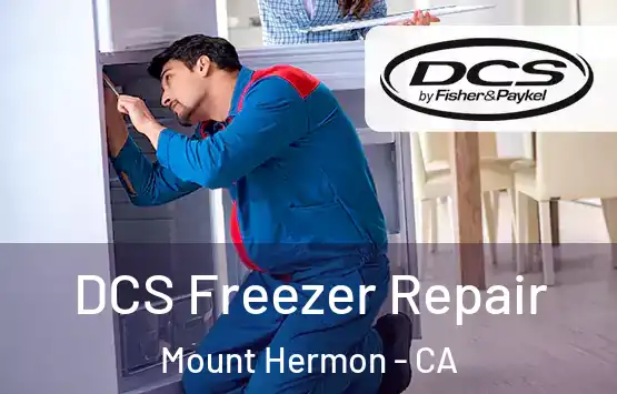  DCS Freezer Repair Mount Hermon - CA