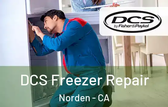  DCS Freezer Repair Norden - CA
