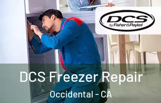  DCS Freezer Repair Occidental - CA