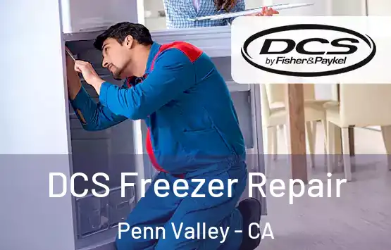  DCS Freezer Repair Penn Valley - CA