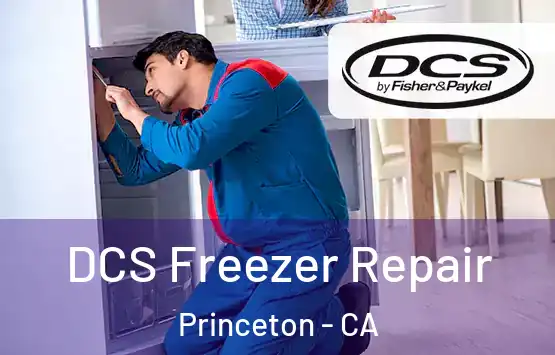  DCS Freezer Repair Princeton - CA