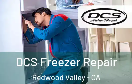  DCS Freezer Repair Redwood Valley - CA