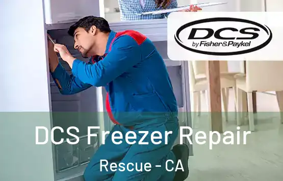  DCS Freezer Repair Rescue - CA