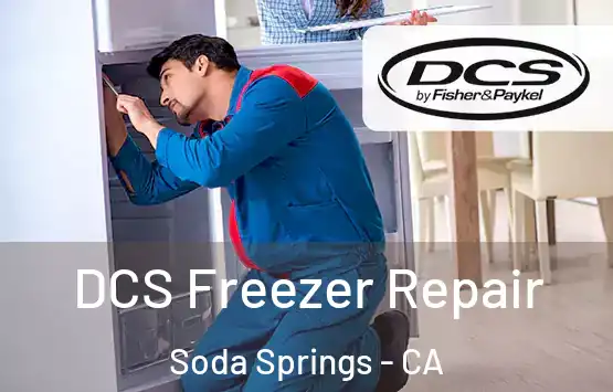  DCS Freezer Repair Soda Springs - CA