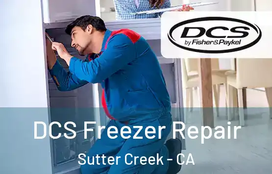  DCS Freezer Repair Sutter Creek - CA