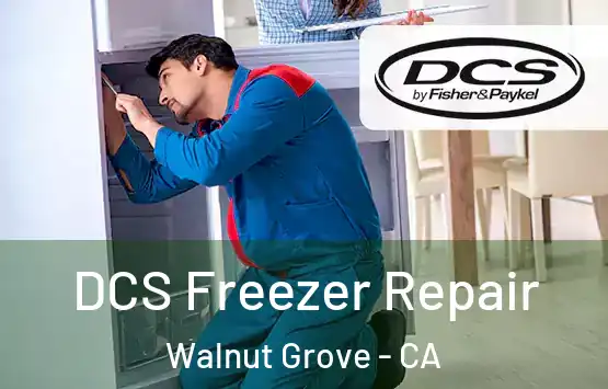  DCS Freezer Repair Walnut Grove - CA