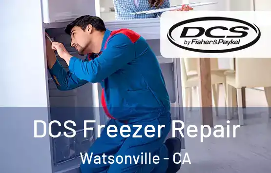  DCS Freezer Repair Watsonville - CA