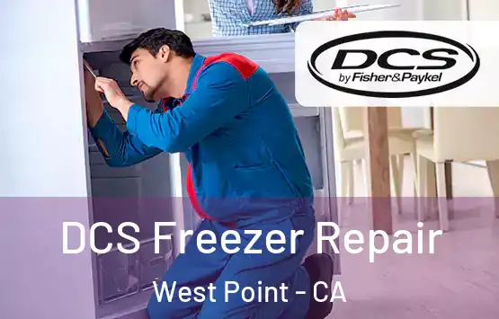  DCS Freezer Repair West Point - CA