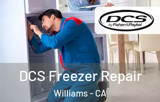  DCS Freezer Repair Williams - CA