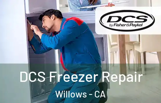  DCS Freezer Repair Willows - CA