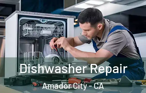  Dishwasher Repair Amador City - CA