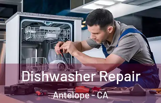  Dishwasher Repair Antelope - CA
