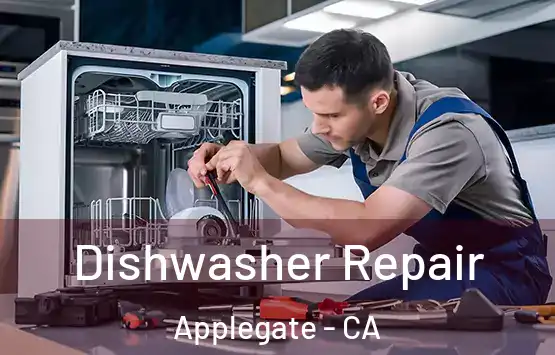  Dishwasher Repair Applegate - CA
