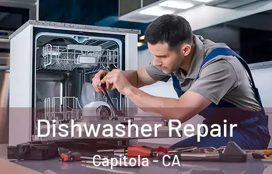  Dishwasher Repair Capitola - CA