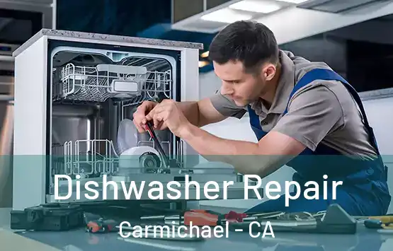  Dishwasher Repair Carmichael - CA