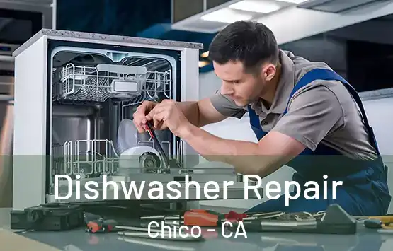  Dishwasher Repair Chico - CA