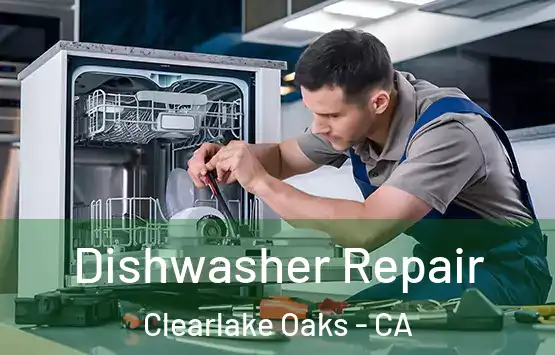  Dishwasher Repair Clearlake Oaks - CA