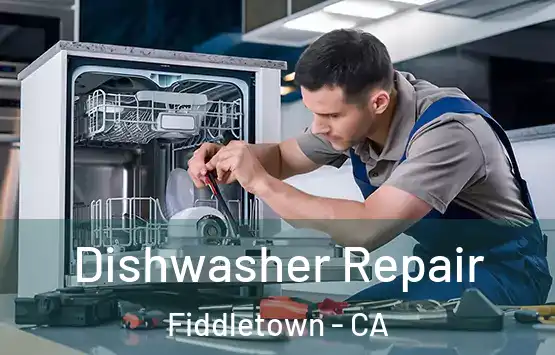  Dishwasher Repair Fiddletown - CA