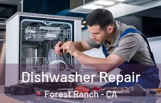 Dishwasher Repair Forest Ranch - CA