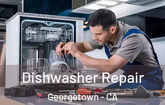  Dishwasher Repair Georgetown - CA