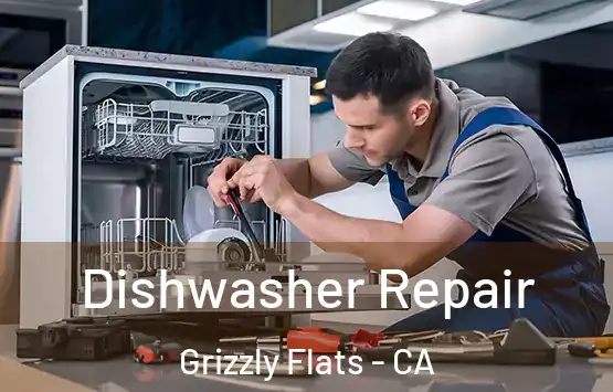 Dishwasher Repair Grizzly Flats - CA
