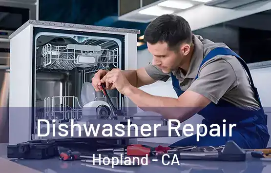  Dishwasher Repair Hopland - CA