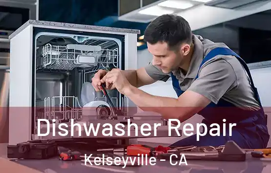  Dishwasher Repair Kelseyville - CA