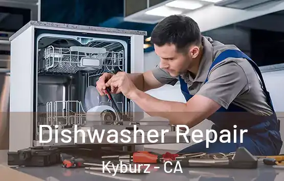  Dishwasher Repair Kyburz - CA
