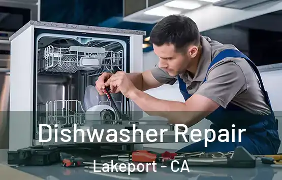  Dishwasher Repair Lakeport - CA